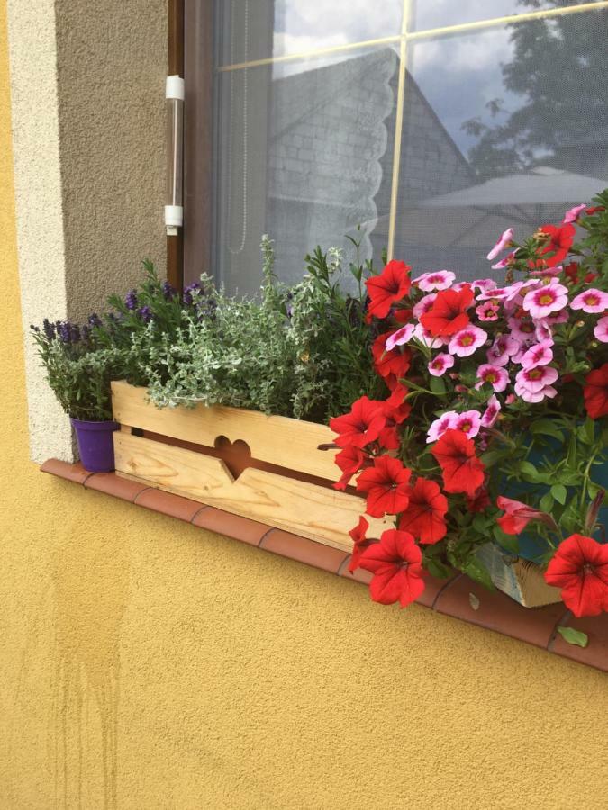 Dom U Ewy Bory Tucholskie Śliwice Dış mekan fotoğraf